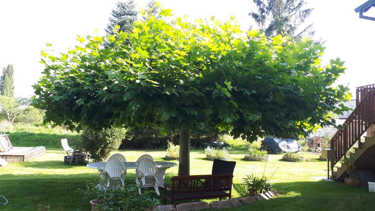 Gite "Le Platane" 45 M2 - Climatise Monswiller Екстер'єр фото