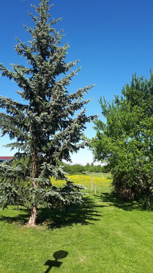 Gite "Le Platane" 45 M2 - Climatise Monswiller Екстер'єр фото