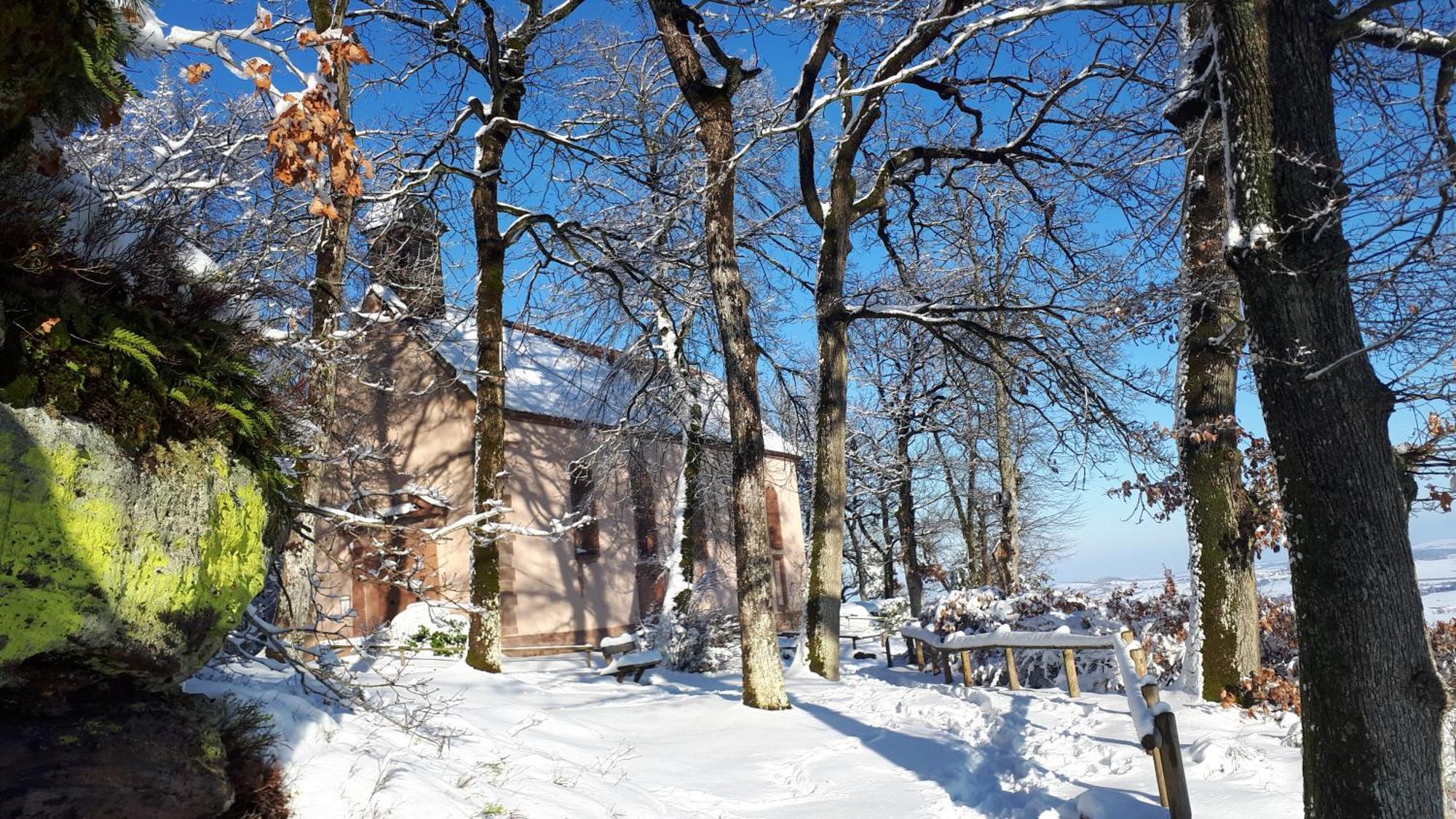 Gite "Le Platane" 45 M2 - Climatise Monswiller Екстер'єр фото